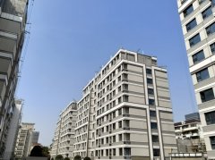 于20世纪五六十年